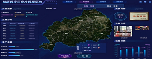 仙居楊梅產(chǎn)業(yè)一件事平臺